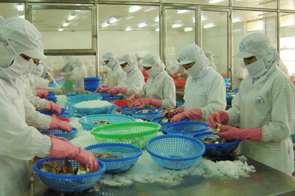 Nên tổ chức khâu thu mua nguyên liệu hải sản như thế nào?